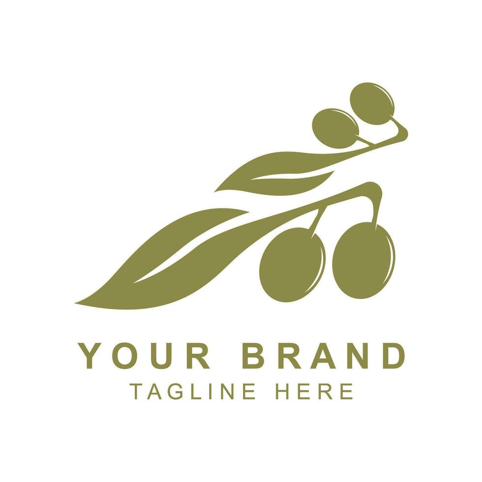 Olive oil logo with a combination of leaves and fruit vector