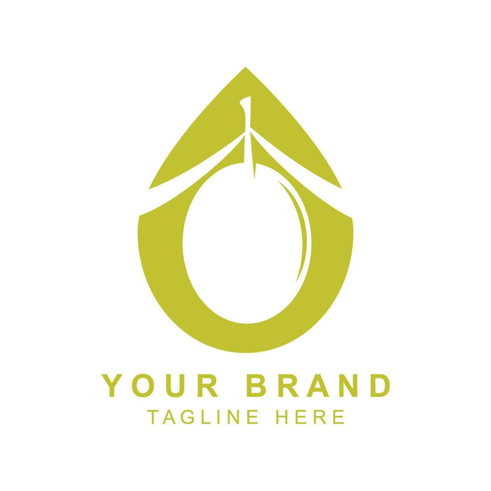 Olive oil logo with a combination of leaves and fruit vector