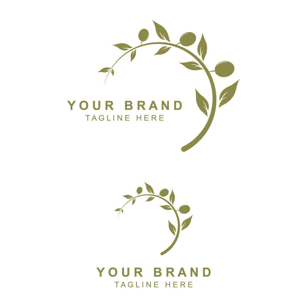 Olive oil logo with a combination of leaves and fruit vector