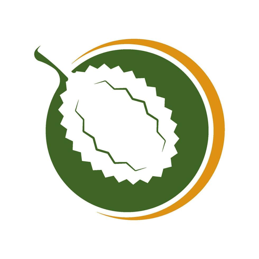 fresh Durian fruit icon vector