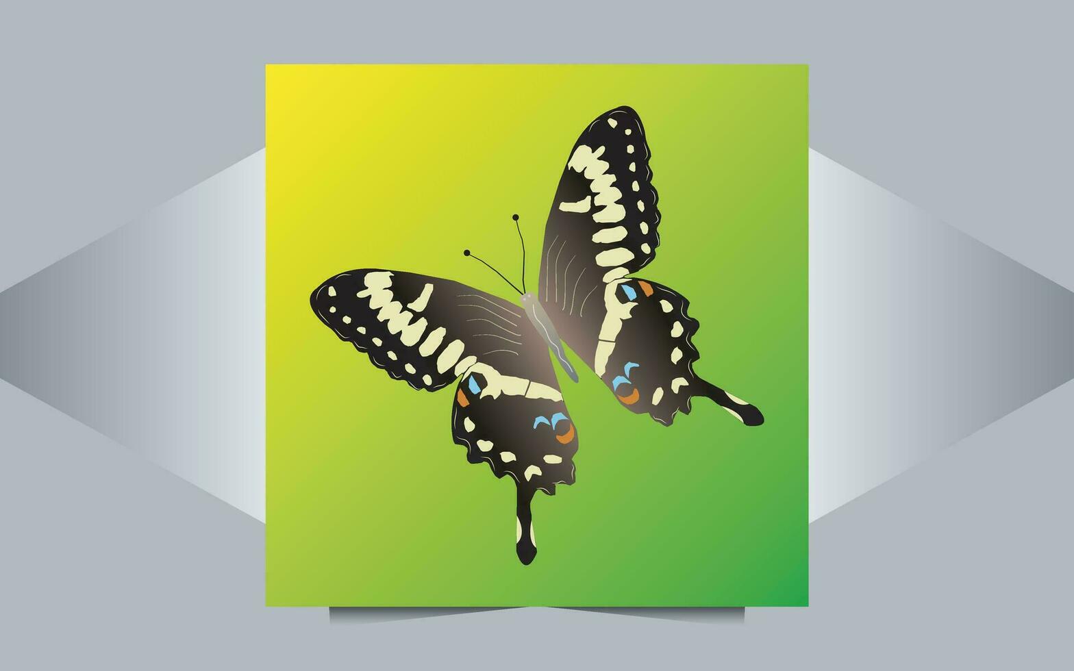 negro belleza mariposa vector diseño