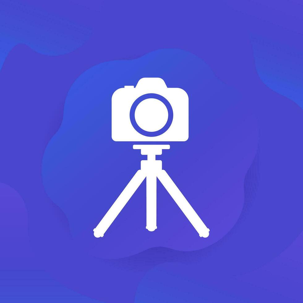 Camera on tripod icon, vector