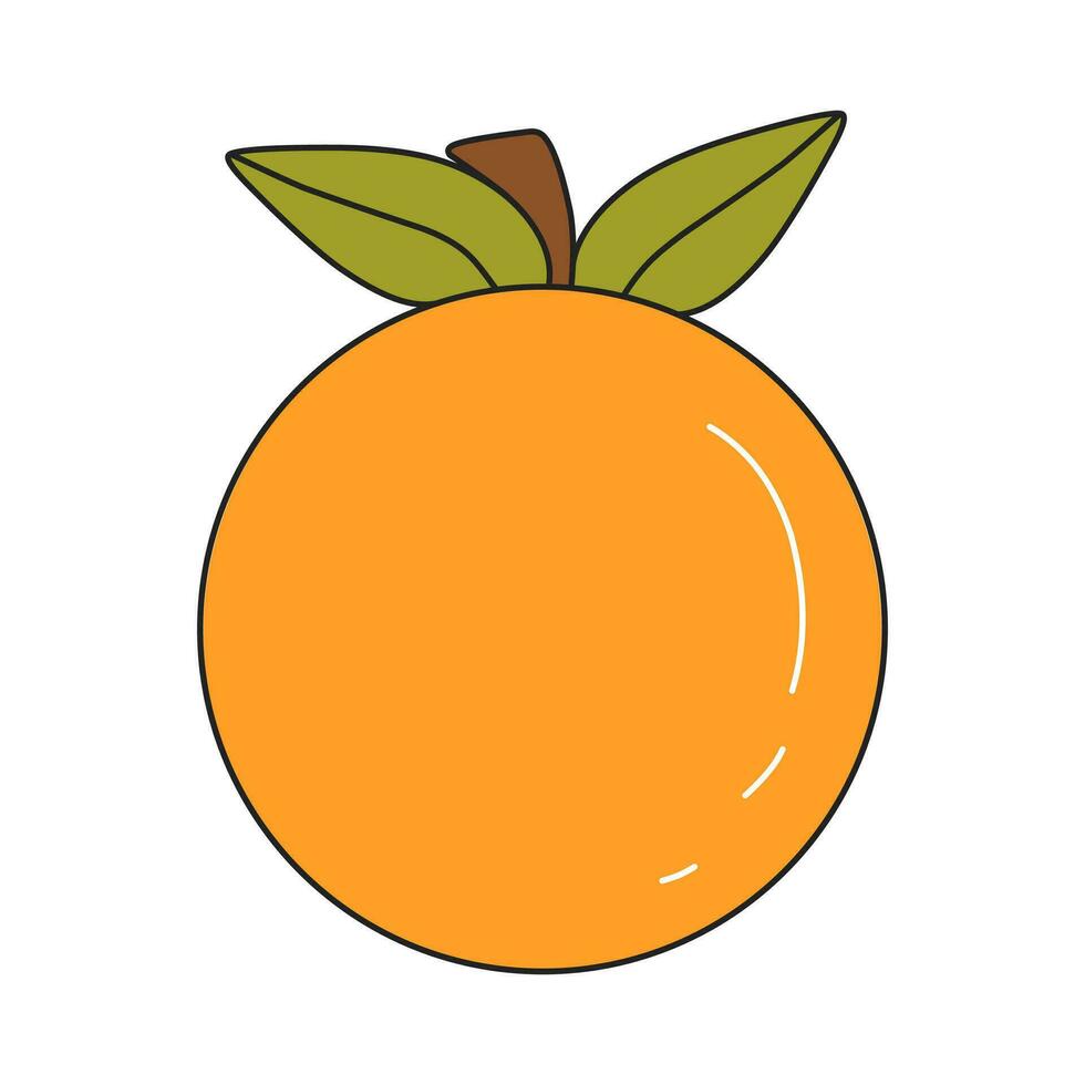 Vector illustration of orange fruit in cartoon style with outline.