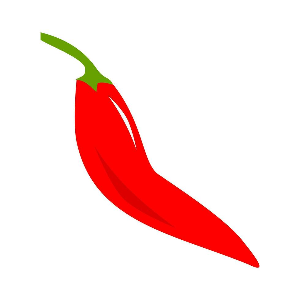 Red chili pepper. simple vector illustration of chili. flat illustration.