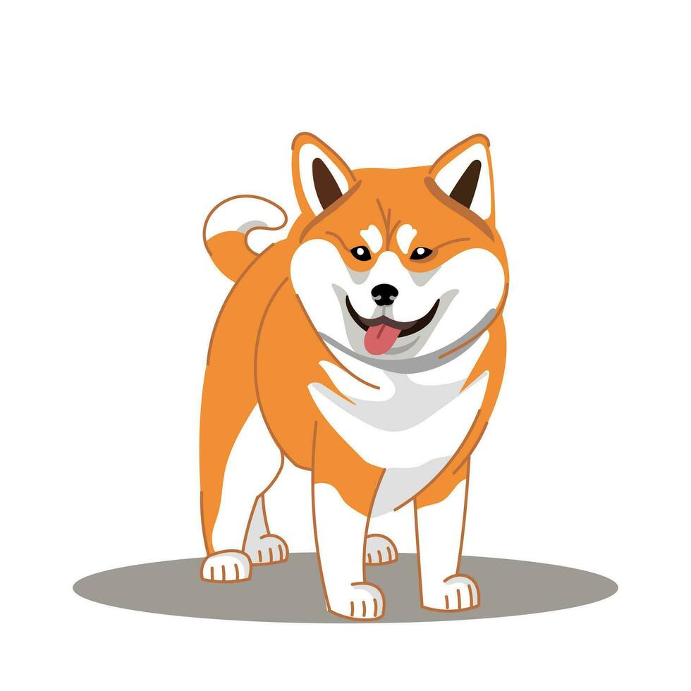 A dog of the Shiba Inu breed. Vector illustration on a white background