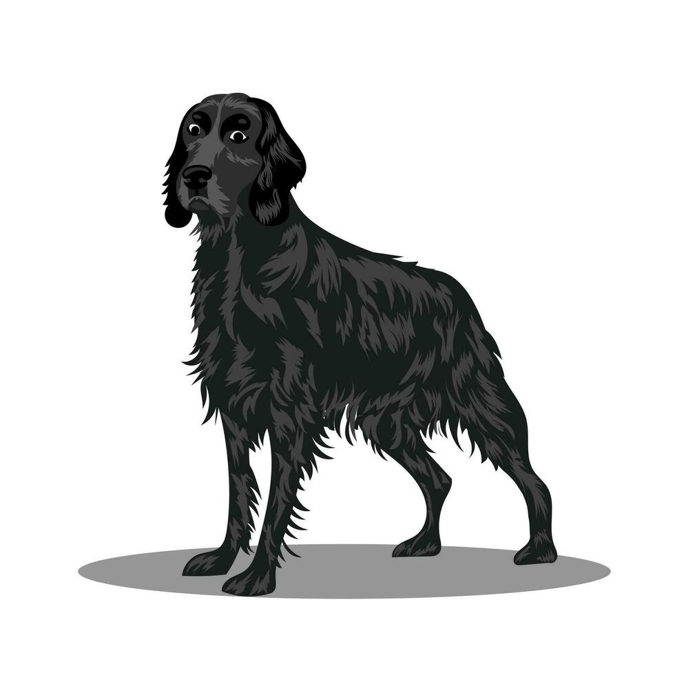 A dog of the Irish Setter breed. Vector illustration on a white background