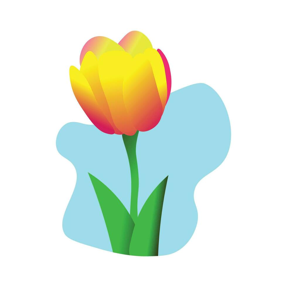 Tulip Flower Isolated On White Background vector