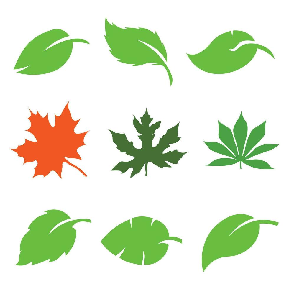 Leaves set isolated on white background vector