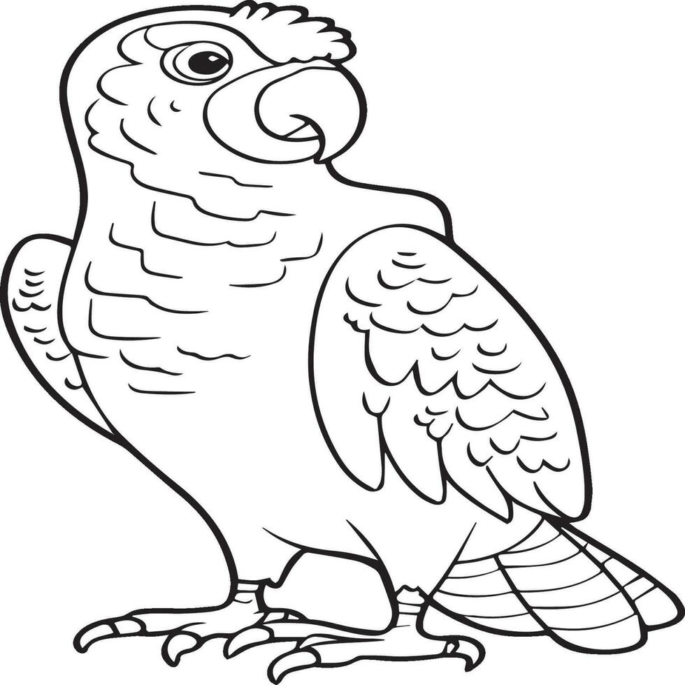 pájaro contorno imágenes para colorante libro vector