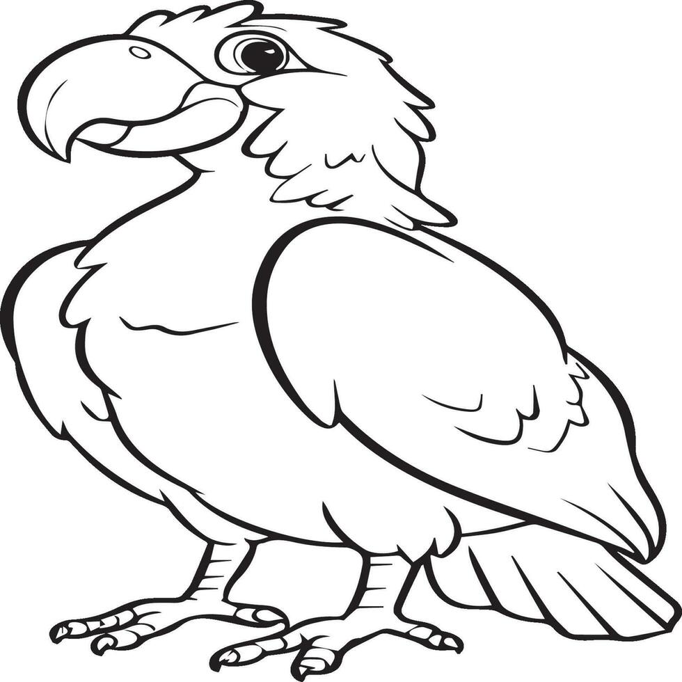 Bird outline images for coloring book vector