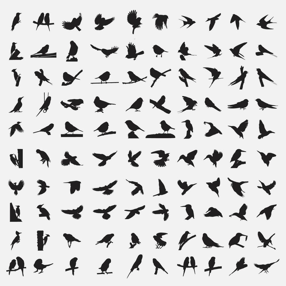 aves silueta conjunto vector