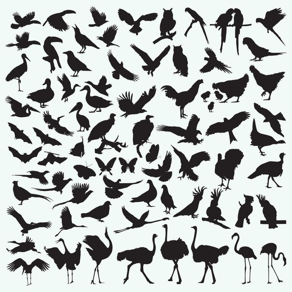 birds silhouette set vector