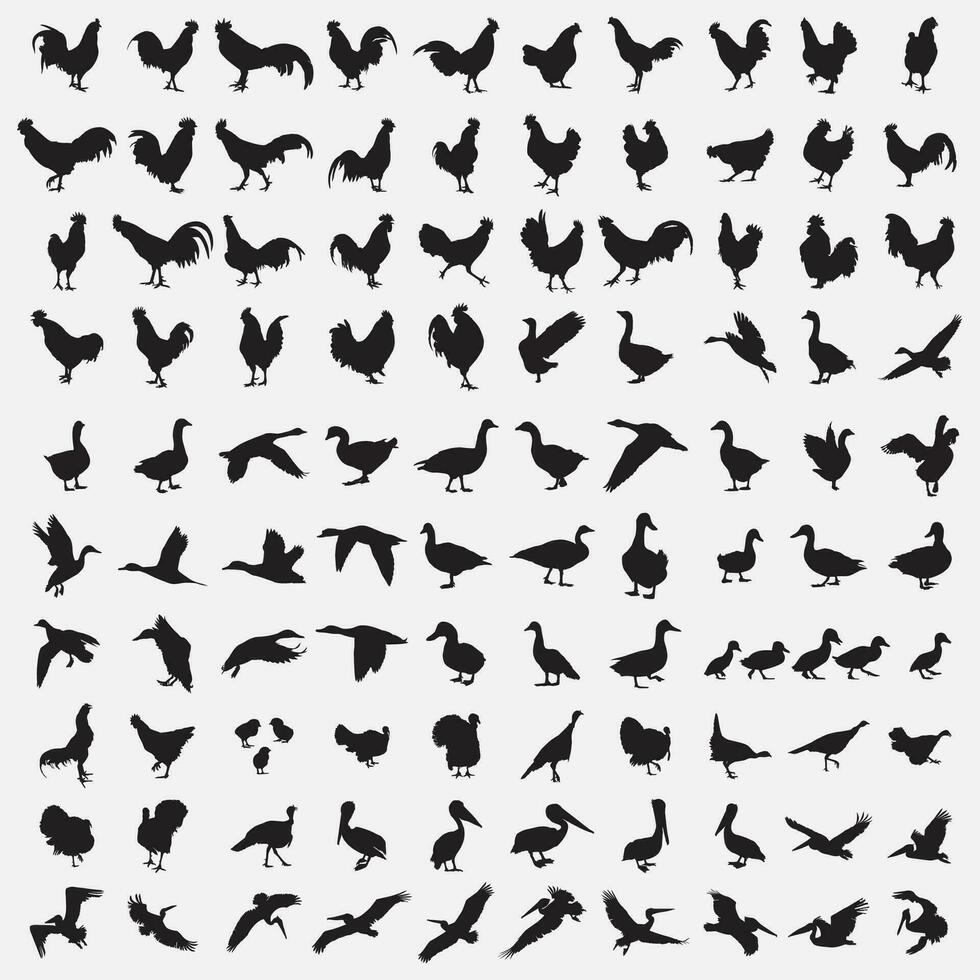 birds silhouette set vector