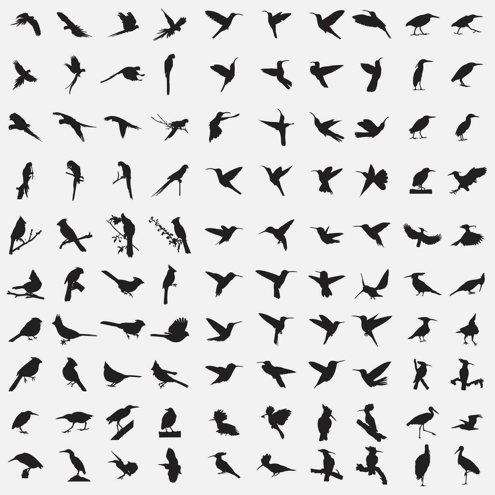 aves silueta conjunto vector