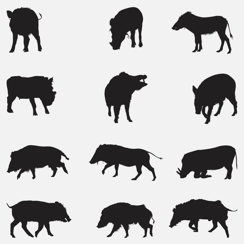 boar silhouette set vector
