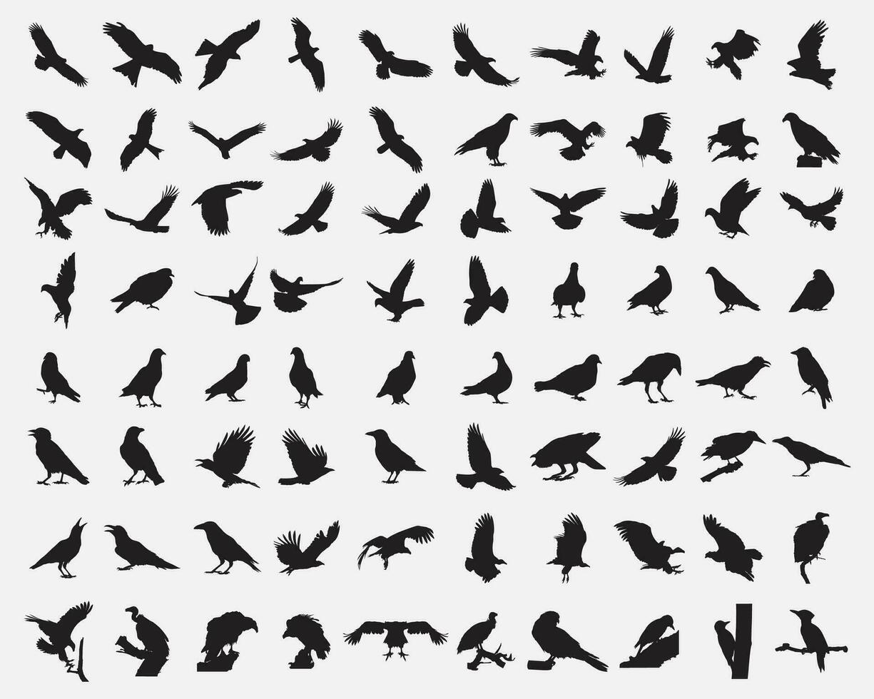 aves silueta conjunto vector