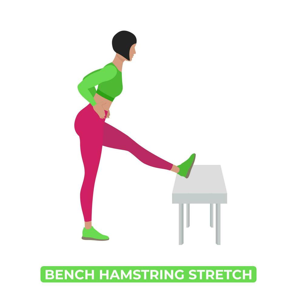 Vector Woman Doing Bench Hamstring Stretch An Educational Illustration