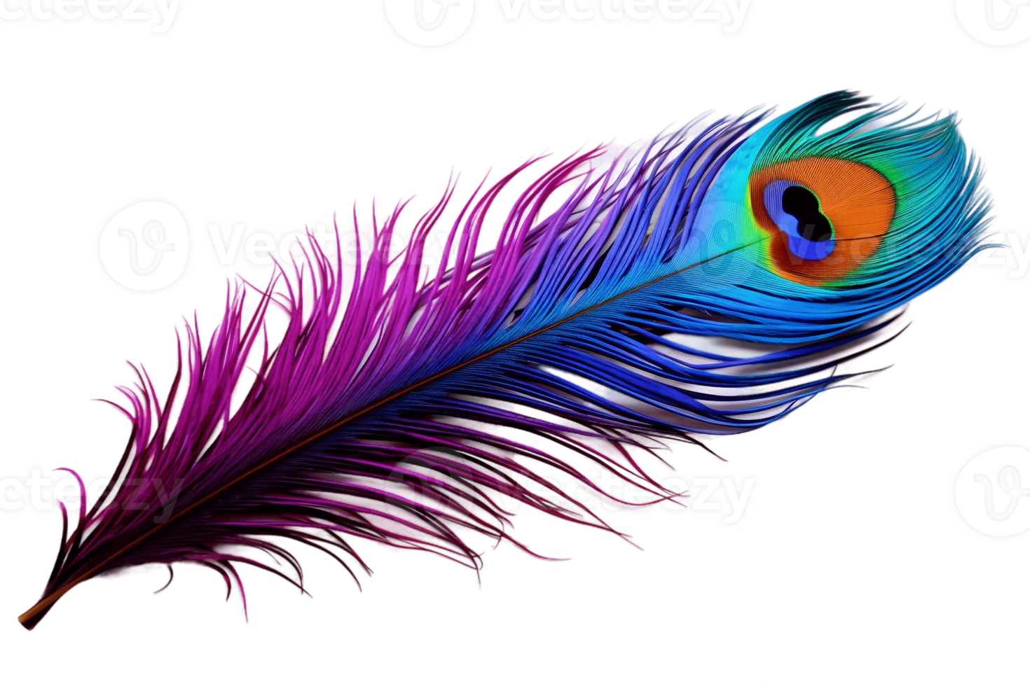 AI generated Lively Peacock Feather with Transparent Background. AI png