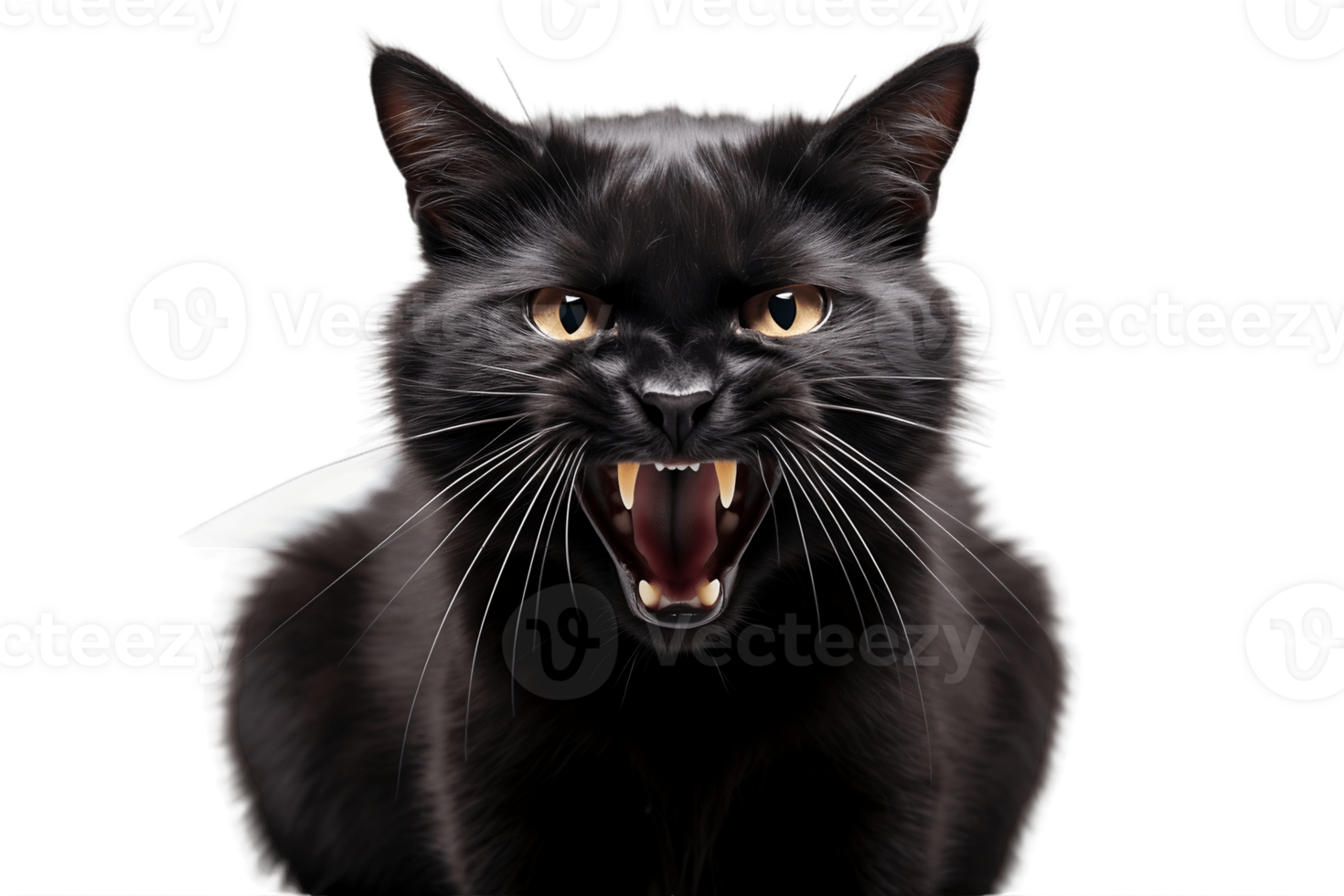 AI generated Hissing Black Cat on a Background with Transparency. AI png