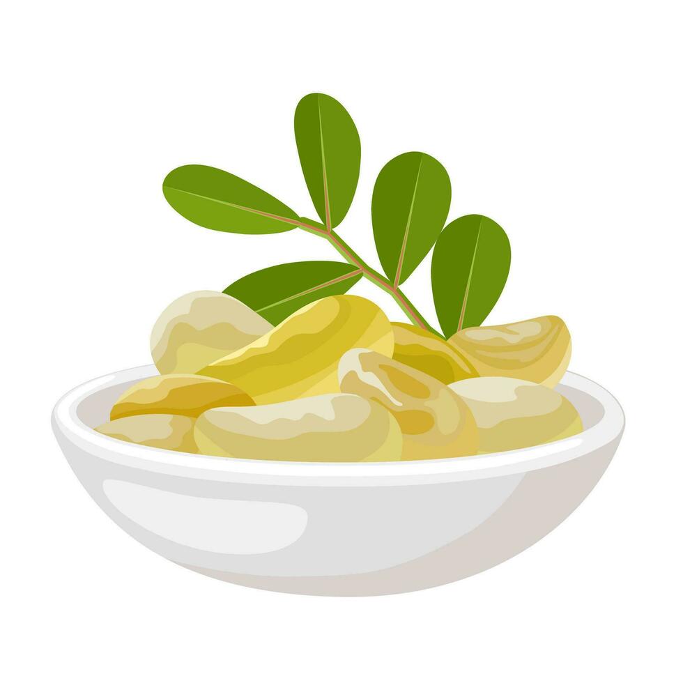 Vector illustration, mastic gum in a white bowl, also known as Chios tears, isolated on a white background.