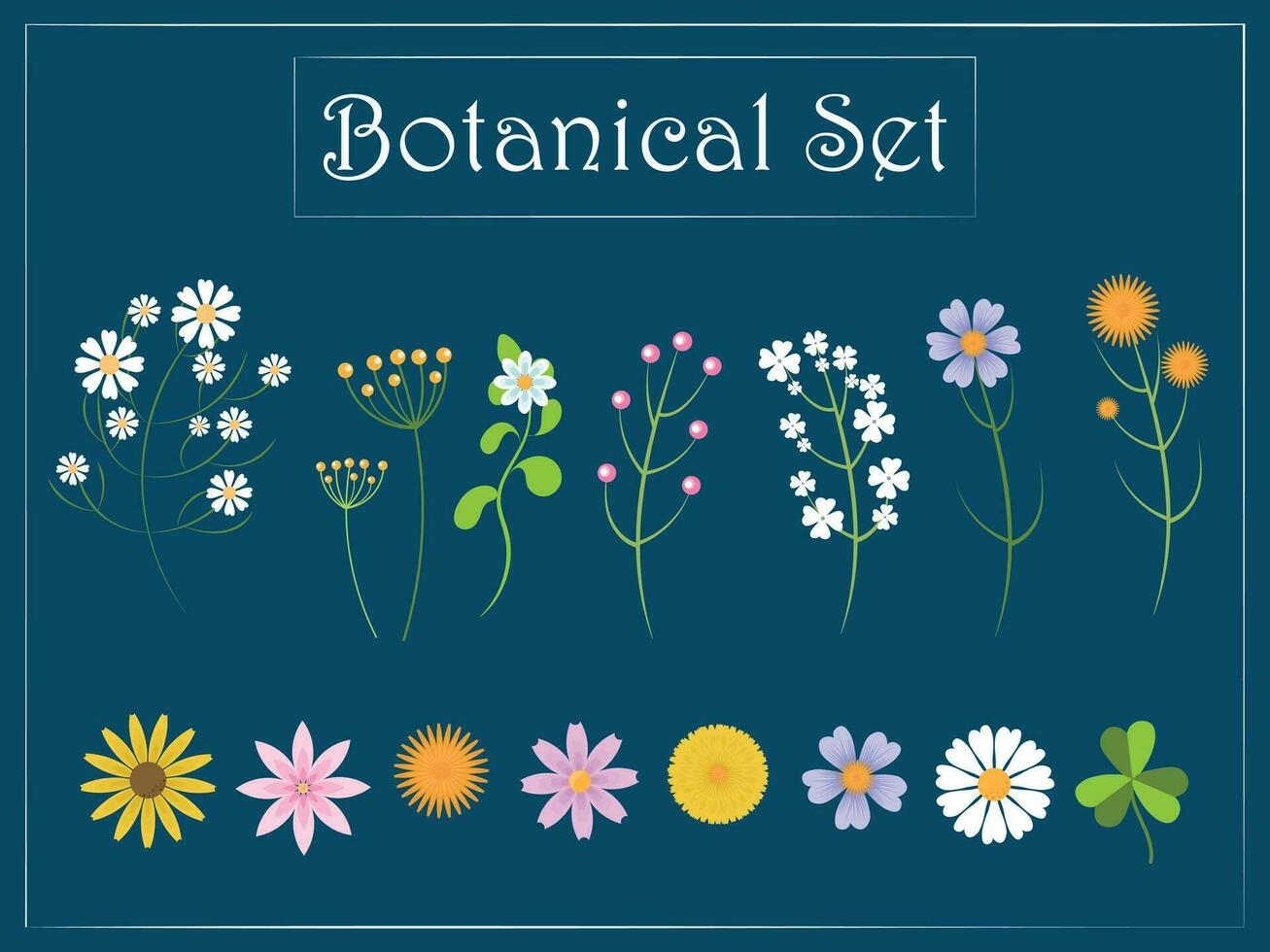 Set of flowers. Botanical set vector