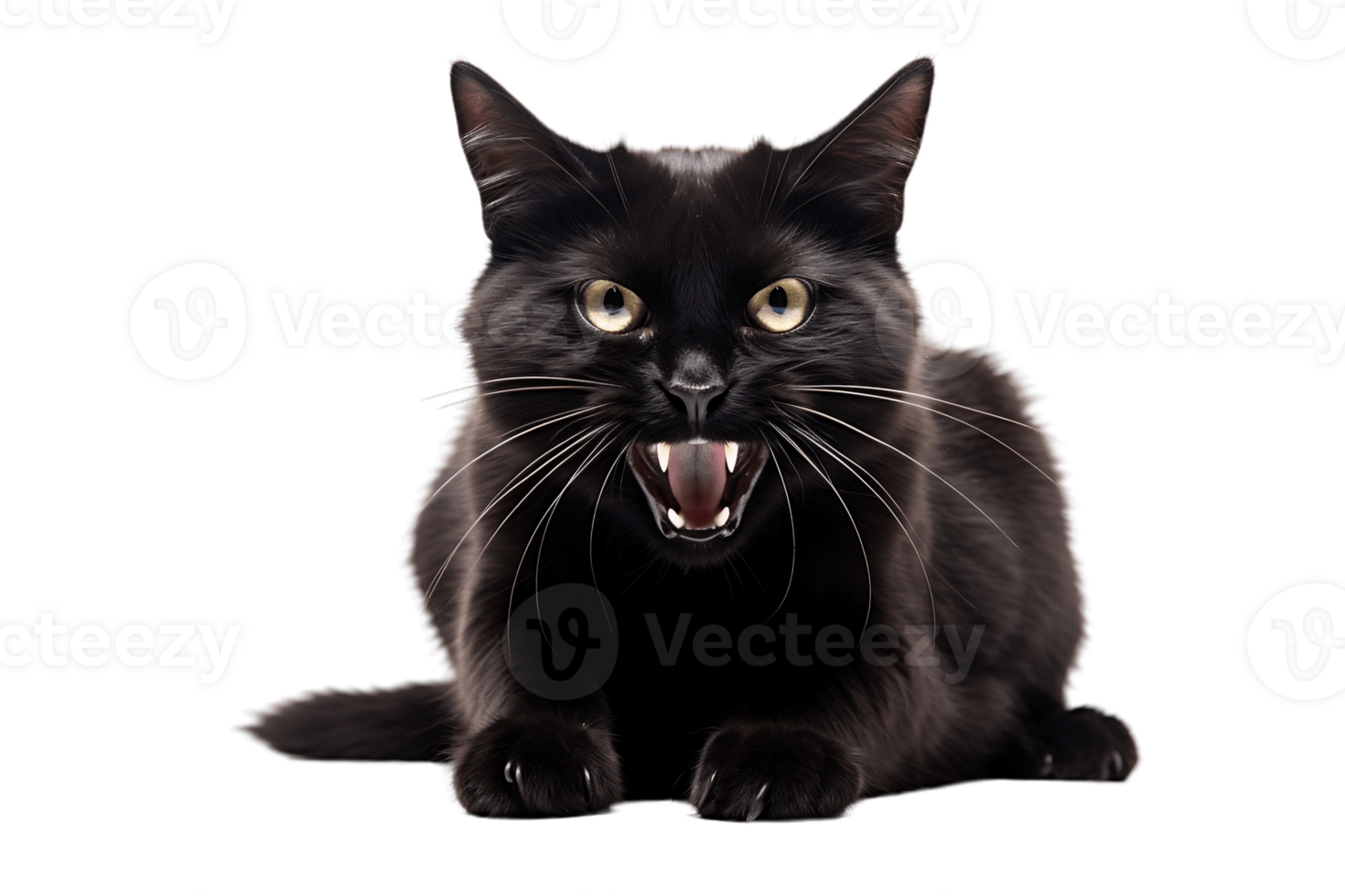 AI generated Hissing Black Cat on a Background with Transparency. AI png