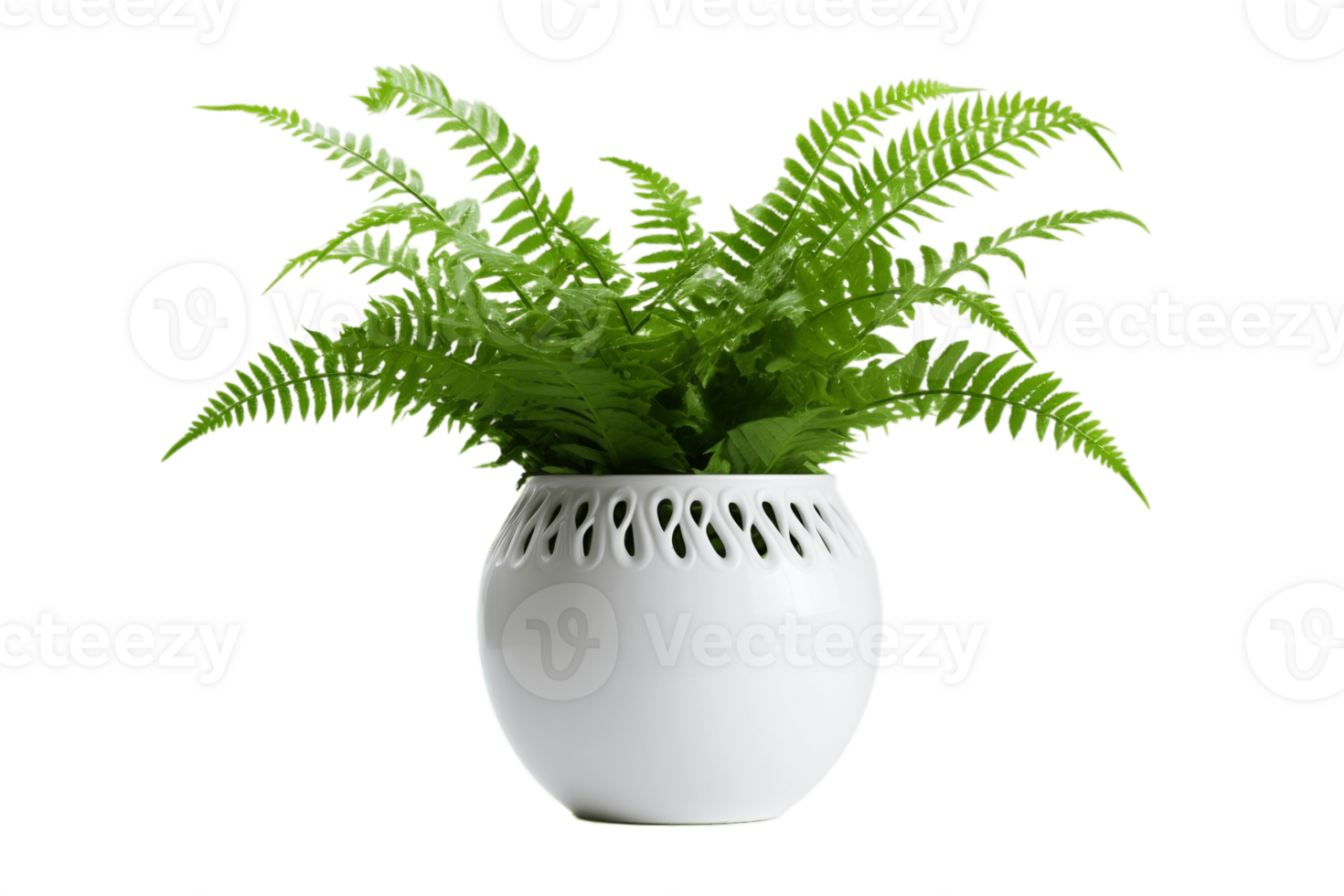 AI generated Boston Fern Plant in a Pot with Transparent Background. AI png