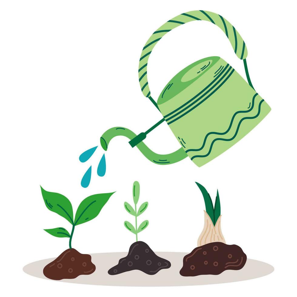 Gardening tools. Seedlings are watered from a watering can.Three different green sprouts irrigate from water container. Growing plants and irrigation. Vector illustration