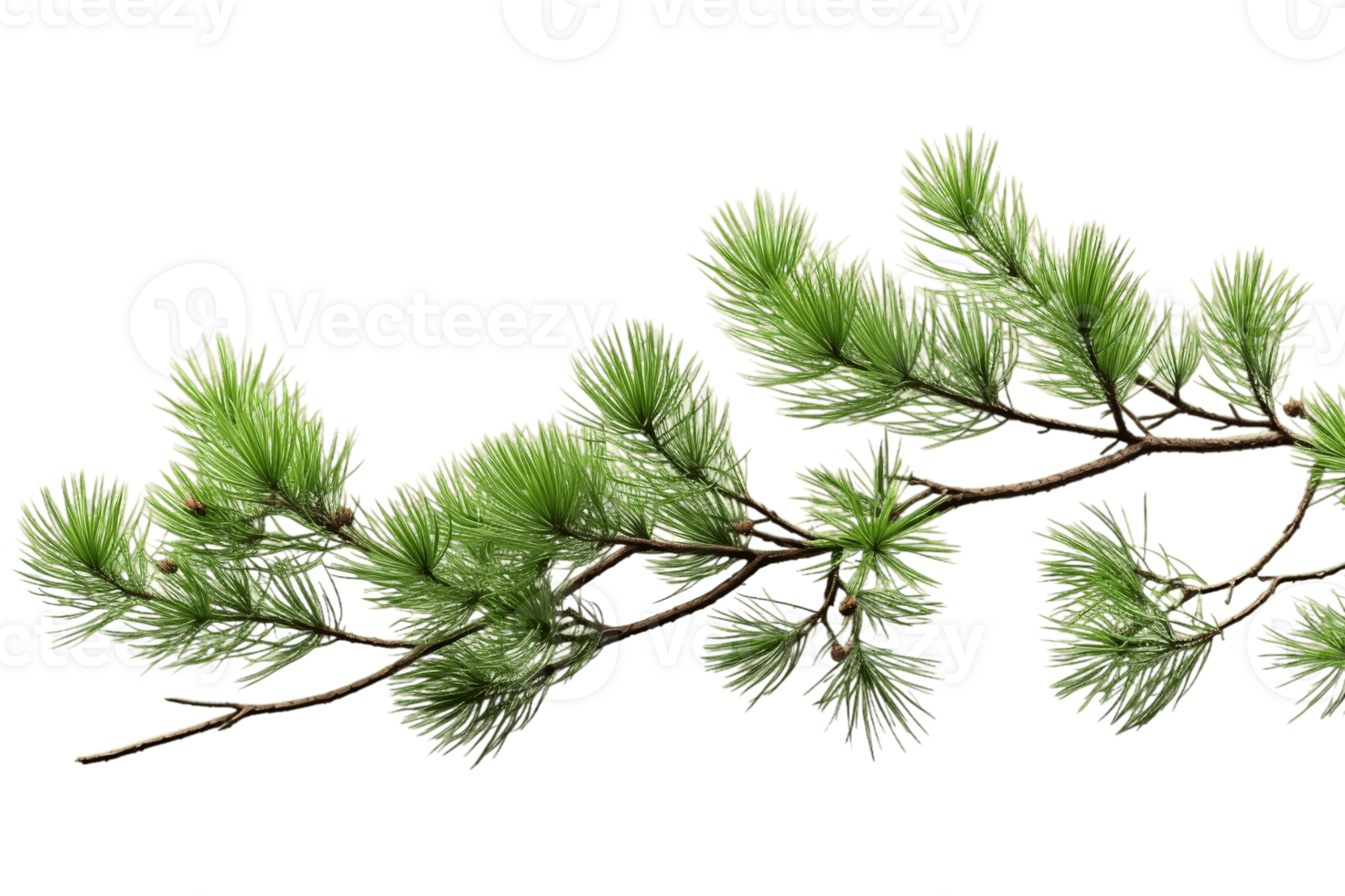AI generated Rolling Pine with Transparent Background. AI png