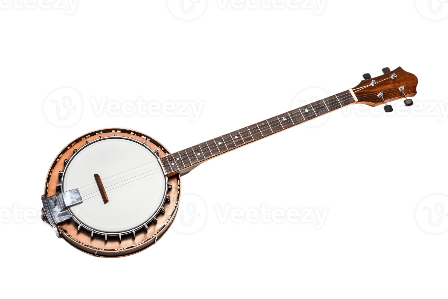 AI generated Banjo with a Transparent Background. AI png