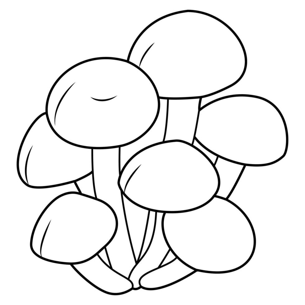 Honey agaric. Fresh shimeji mushrooms. Black and white isolated. Vintage. Vector illustration