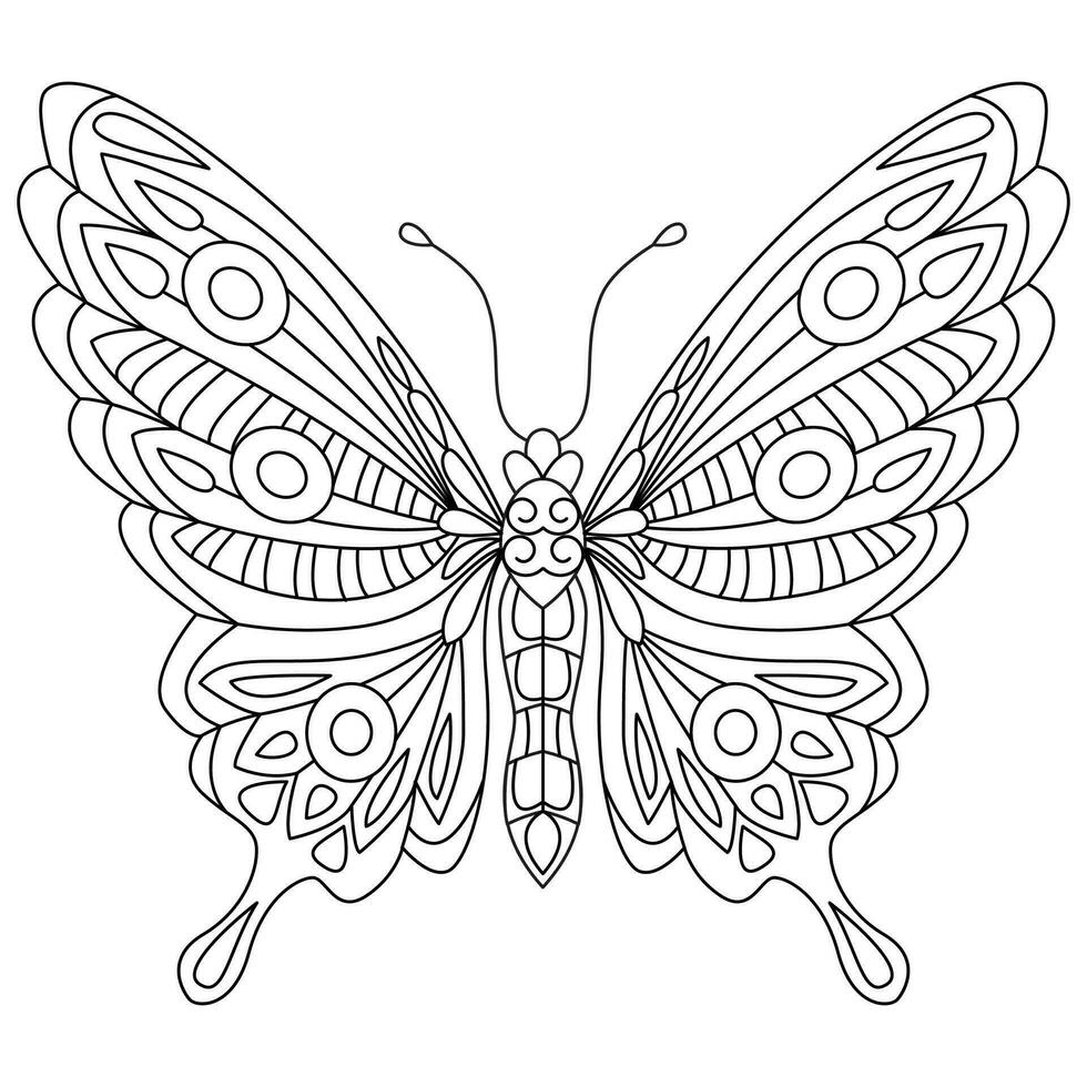 mariposa colorante libro. negro y blanco polilla colorante página vector ilustración