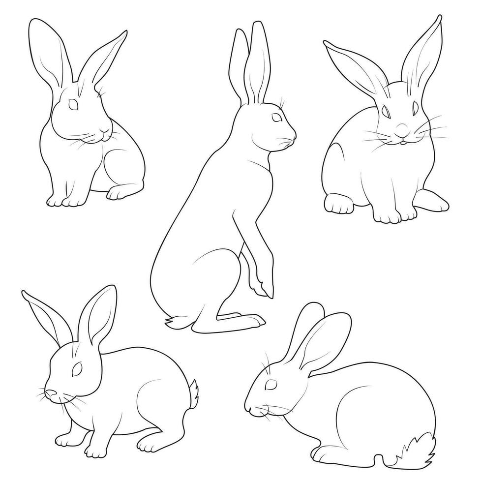 Cute bunny rabbit outline sketch. line art in different poses. vector