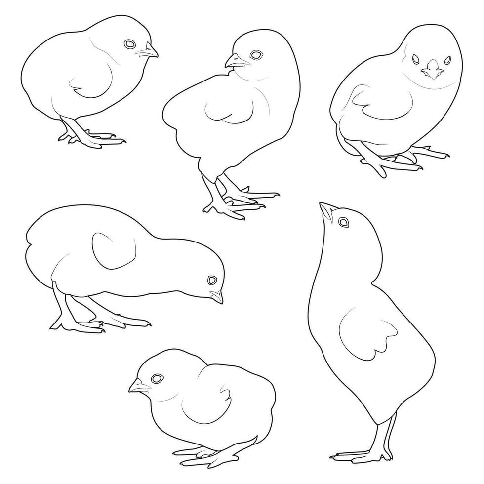 linda dibujos animados pollo colocar. gracioso pollos en diferente posa, negro y blanco. vector