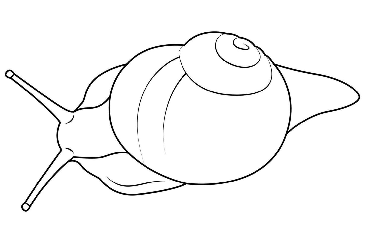 Garden snail line art. Vector elements isolated on white background.