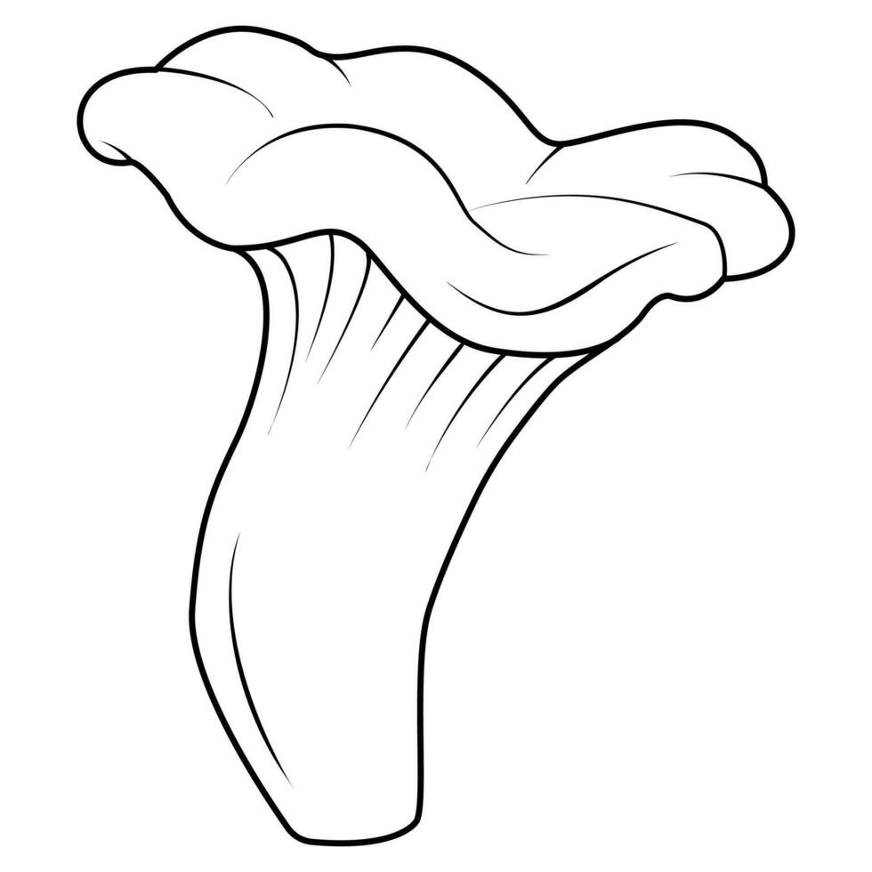 Chanterelles Mushrooms. Black and white isolated. Vintage. Vector illustration
