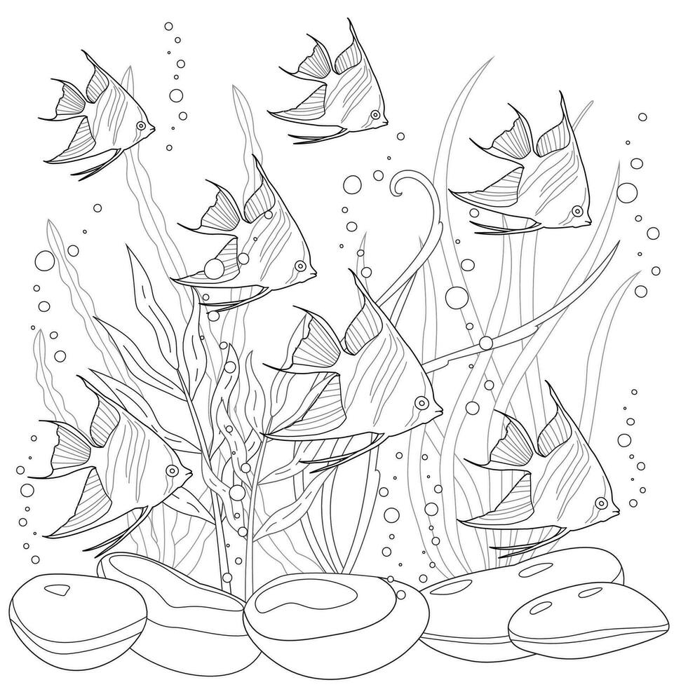 Angelfish Tropical triangle fish side view colorless black and white vector
