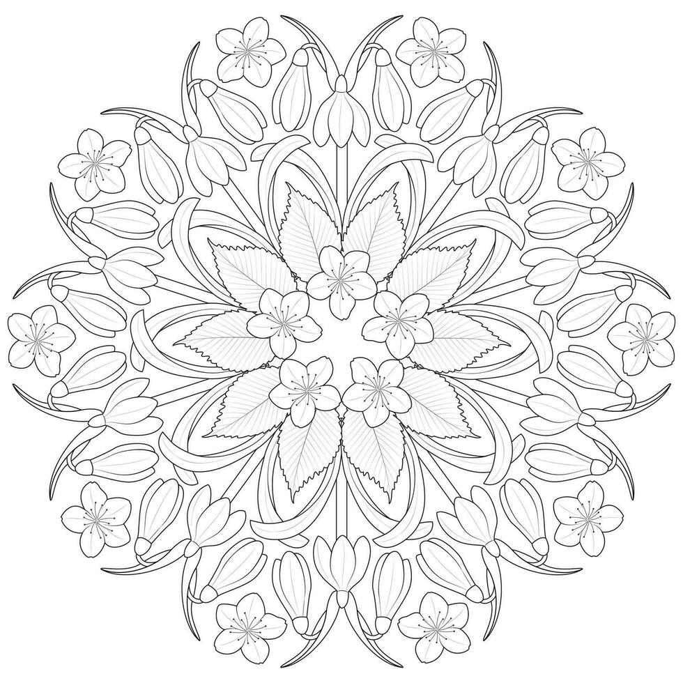 Spring flower mandala in black and white. Round pattern for coloring vector