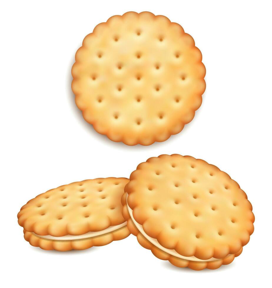 Realistic Detailed 3d Sandwich Cookies Set. Vector