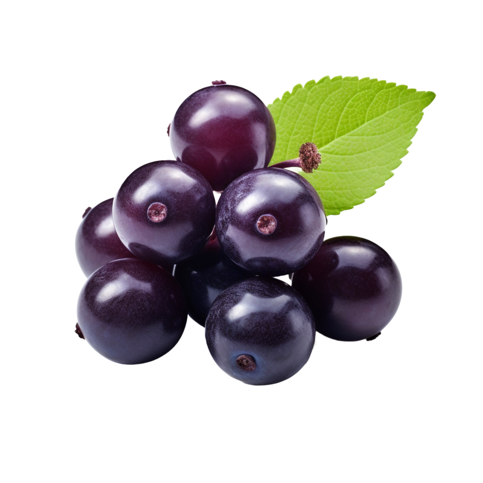 AI generated Acai berry isolated on transparent background png