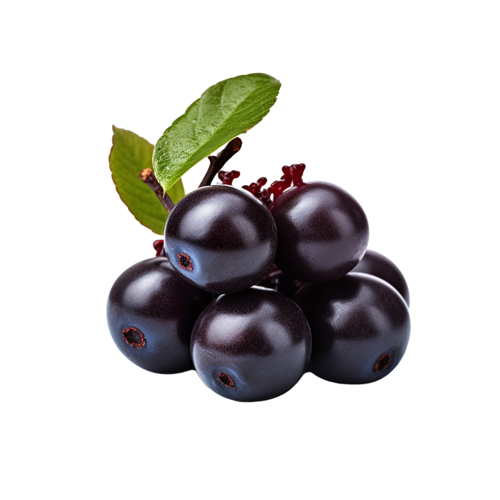 AI generated Acai berry isolated on transparent background png