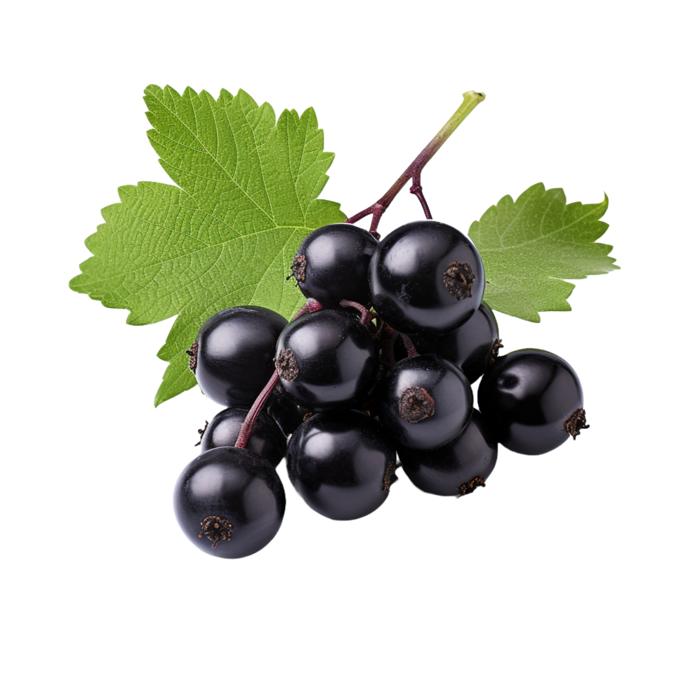 AI generated Blackcurrant isolated on transparent background png