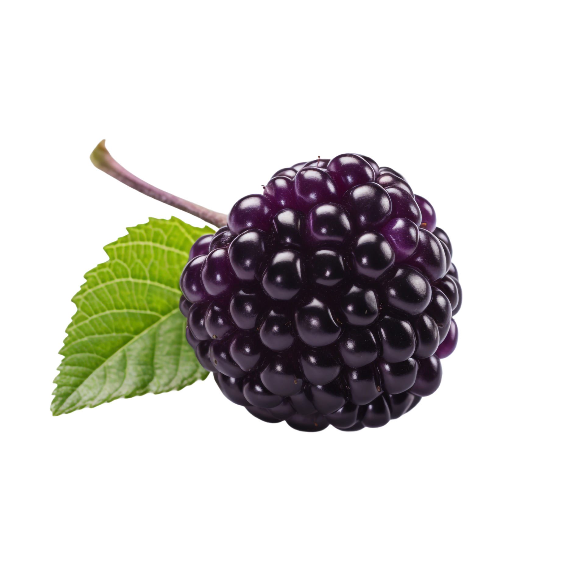AI generated Boysenberry isolated on transparent background 36292787 PNG