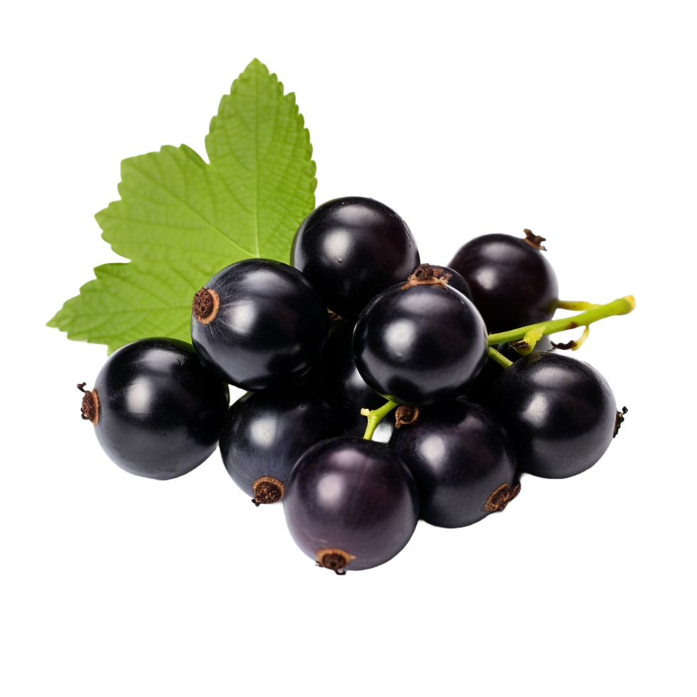 AI generated Blackcurrant isolated on transparent background png