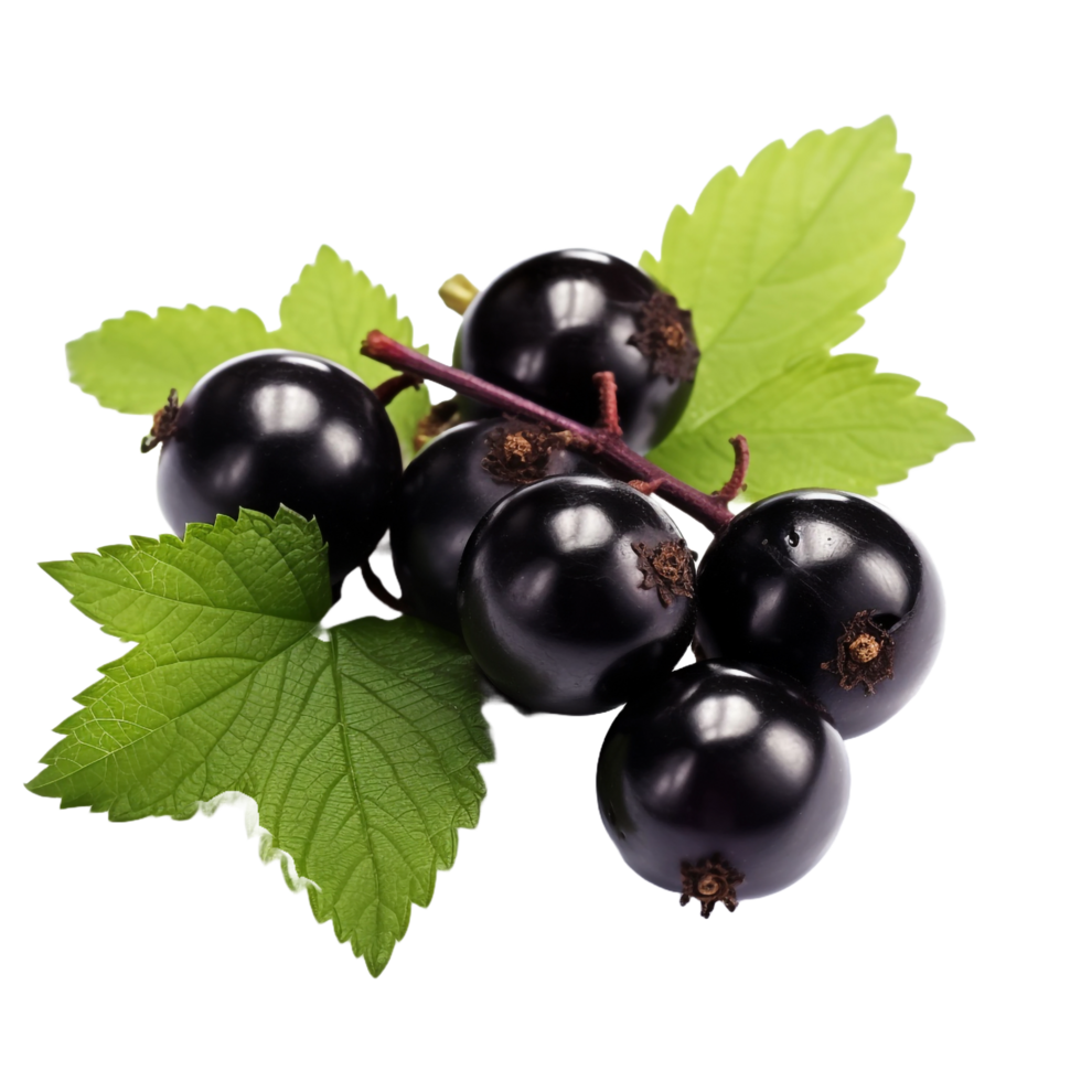 AI generated Blackcurrant isolated on transparent background png