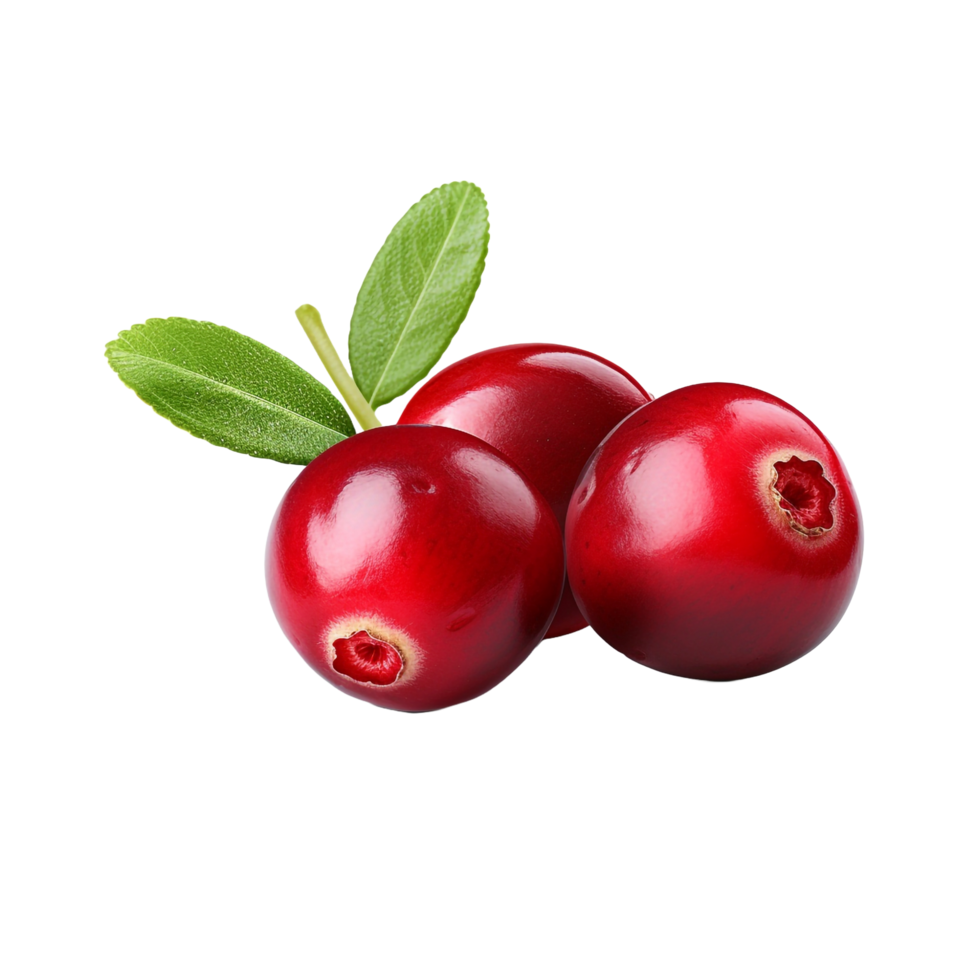 AI generated Cranberry isolated on transparent background png