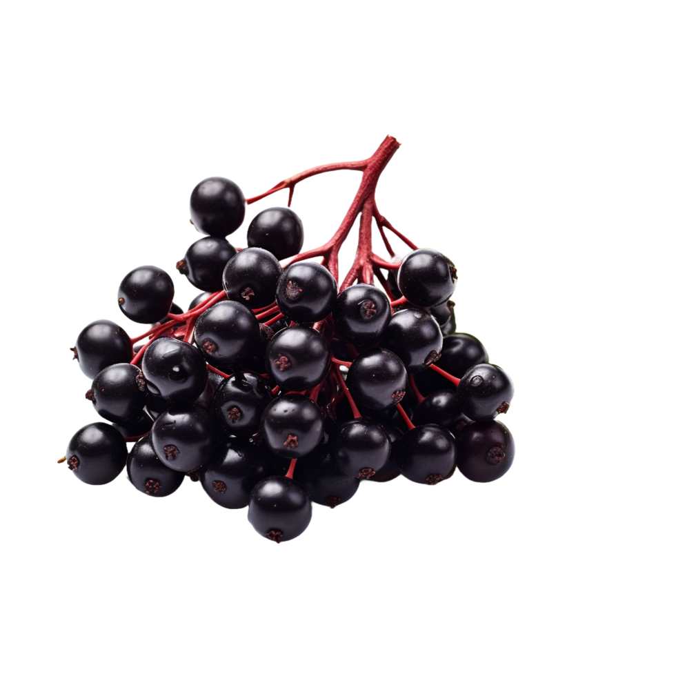 AI generated Elderberry isolated on transparent background png