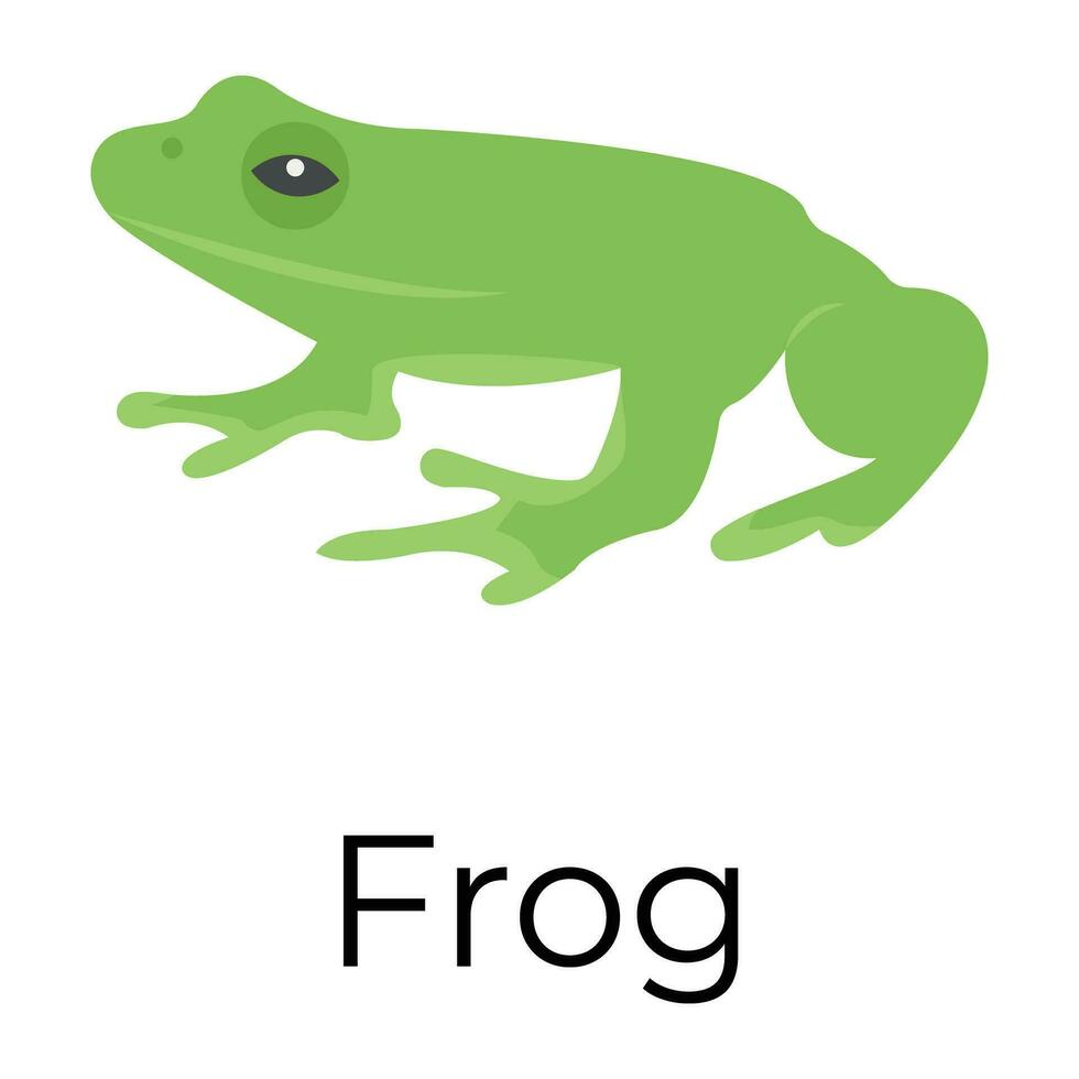 Trendy Frog Concepts vector