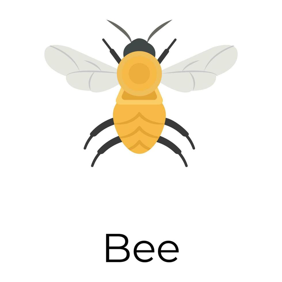 Trendy Bee Concepts vector