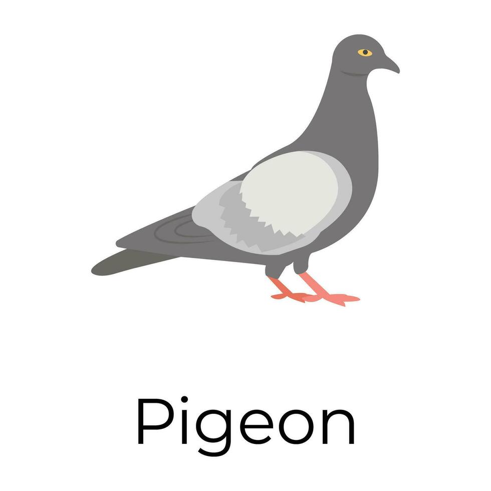 Trendy Pigeon Concepts vector